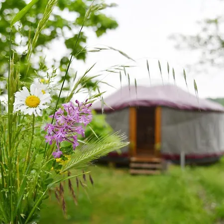 La Tiny Dans La Prairie
